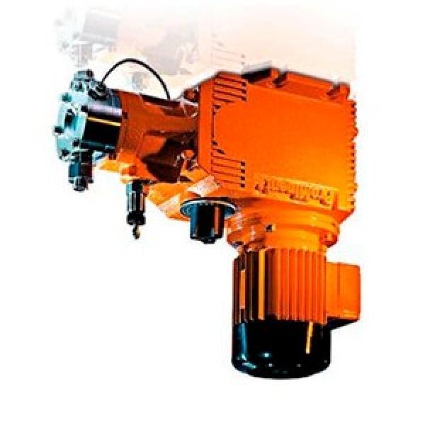 Genuine Bosch Hydraulic pump 0510 565 327 11 + 11 cc/rev #2 image
