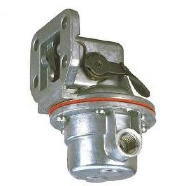 Pompa idraulica per trattore e spaccalegna GR2 C 55 DX #3 image