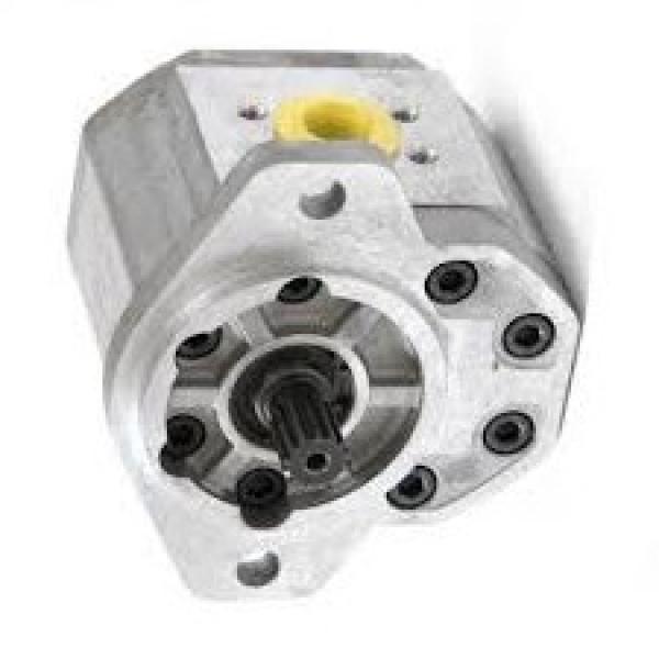 Pompa idraulica pneumatica per sollevatore SOGI SL-150 #1 image