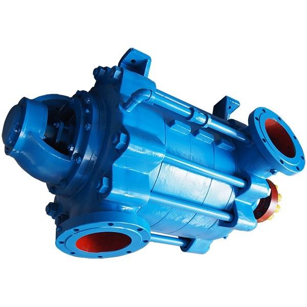 Pompa sommergibile MPSM 5” Acqua Pulita MPS506m CG 1,1kW 1,5Hp 230V Calpeda #1 image