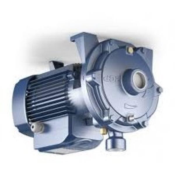 2002 DT466E LUK Hydraulic Power Steering Pump 2005337C91 163 BAR 2107611 OEM #1 image