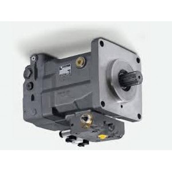 VT365 LUK Hydraulic Power Steering Pump LFF81D Part# 3606194C91 2113216 165 BAR #1 image