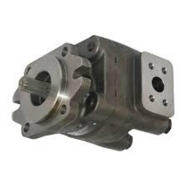 Terex, Roller Stator Hydraulic Drive Motor - New, Some Marks to Casing #1 image