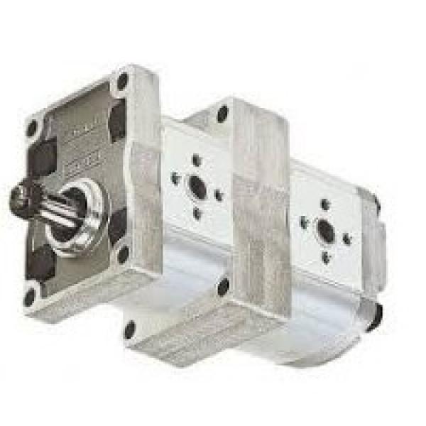 Flowfit Aluminium Hydraulic PTO Gearbox Group 2 Pump Assembly #1 image